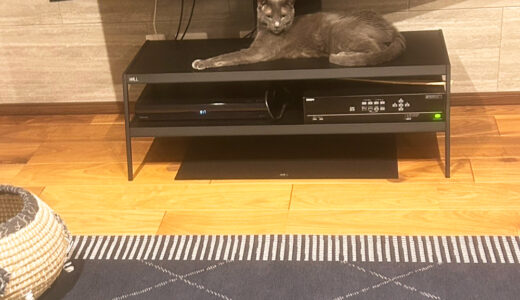 ジュン君＆ララちゃん